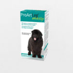 proartleg maxy