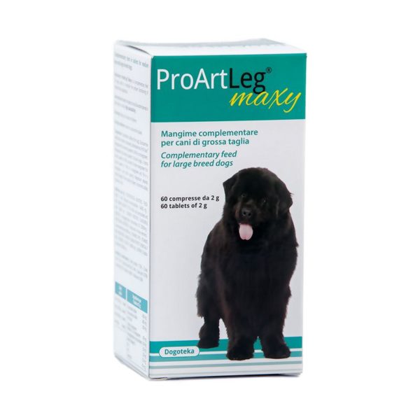 proartleg maxy