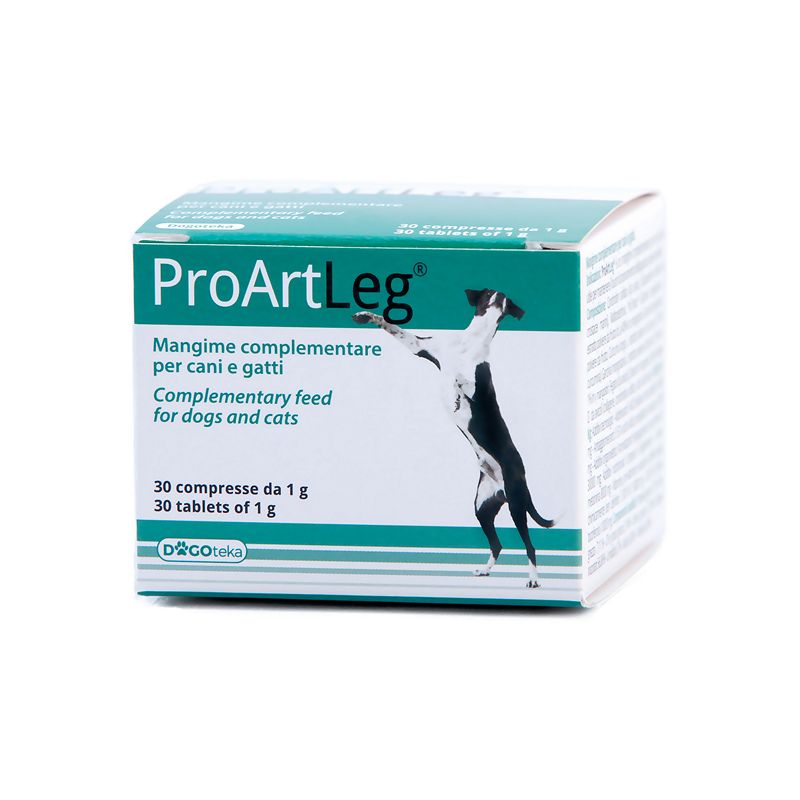 Proartleg