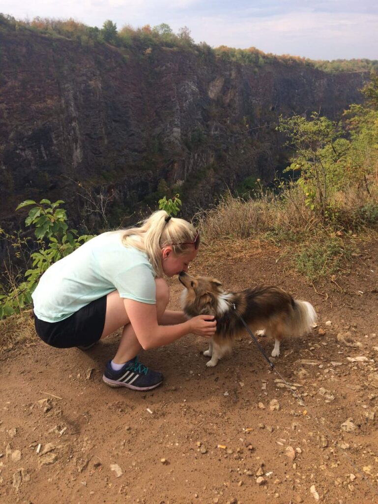 sheltie a její skvělá kondice po užívání doplňků stravy pro psy ProArtLeg a MultiAdapt